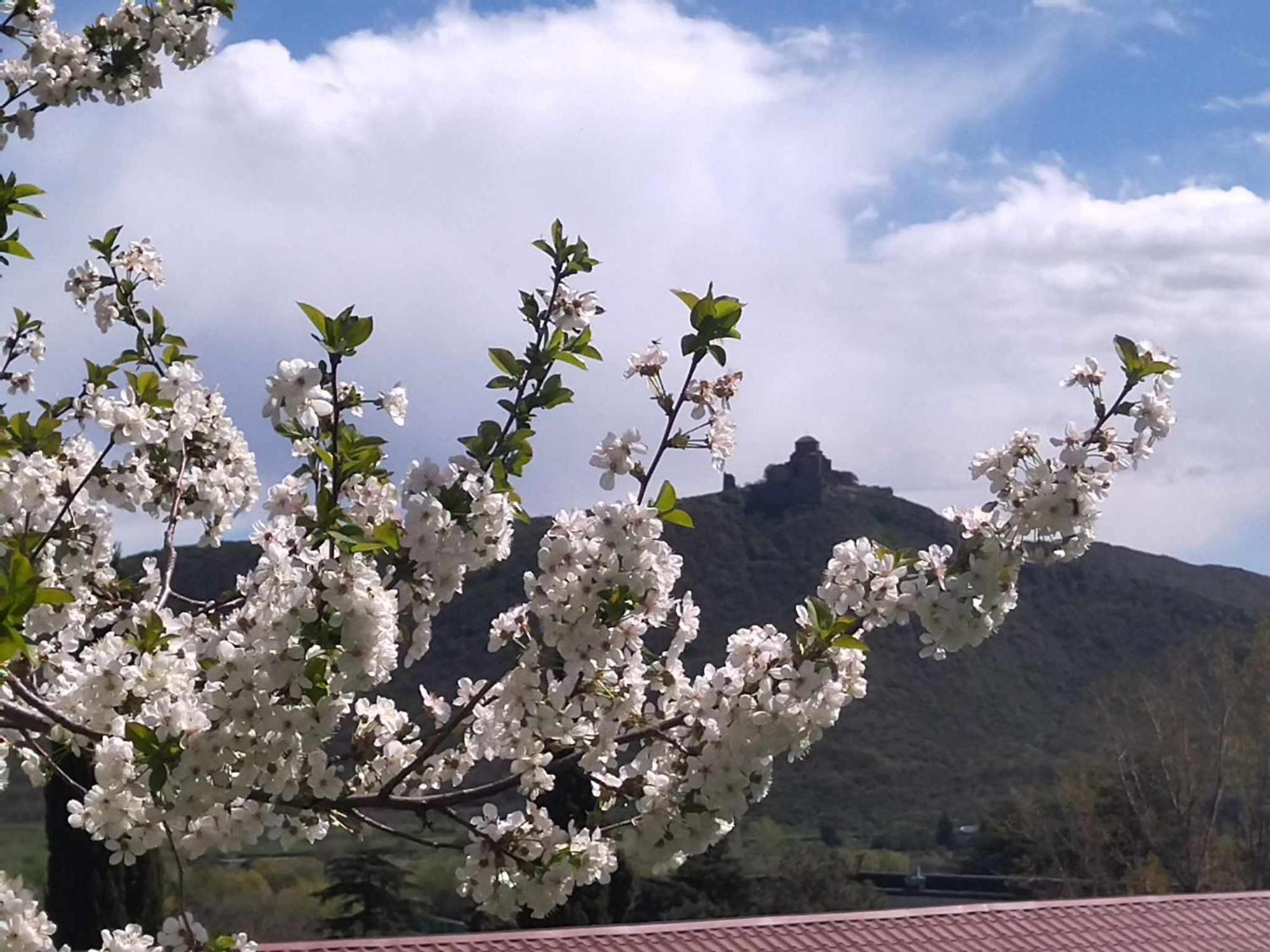Garden And Panorama Hotel Mtskheta Luaran gambar